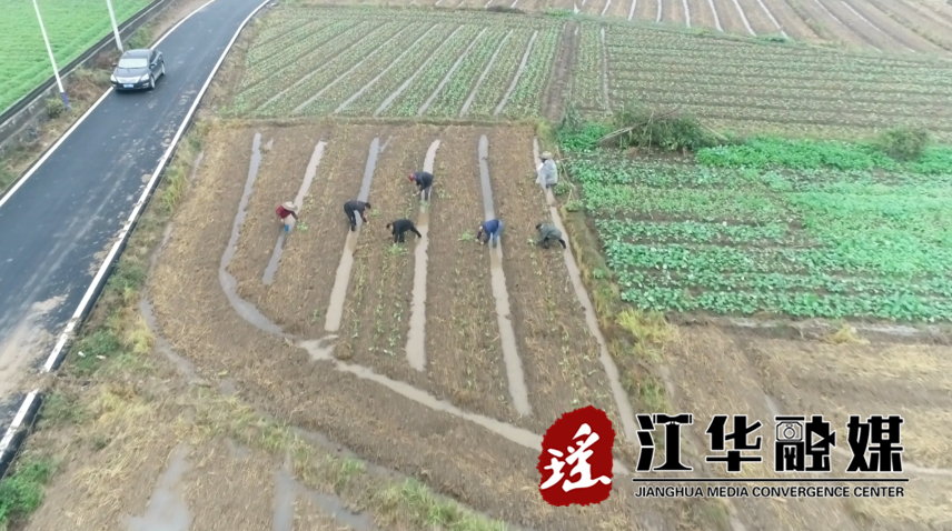 微信截图_20221121101150.png 微信截图_20221121101150.png