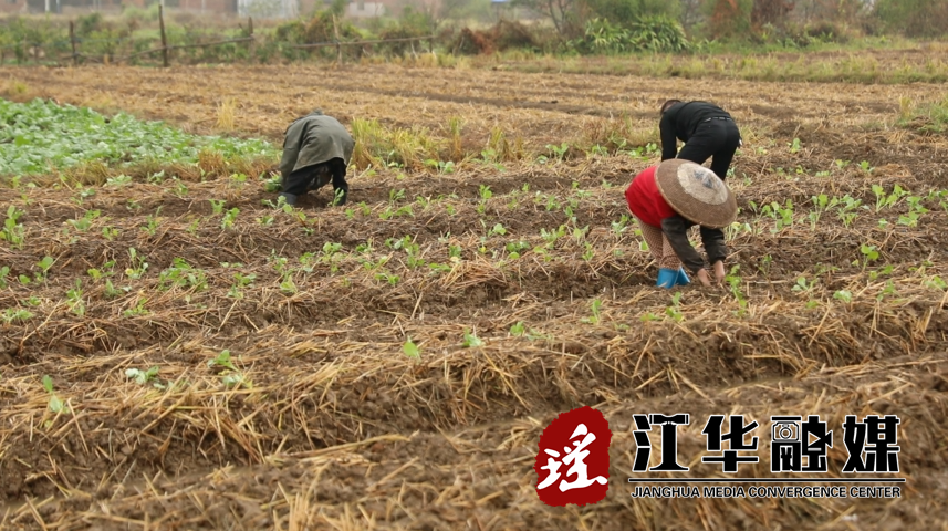 微信截图_20221121101258.png 微信截图_20221121101258.png