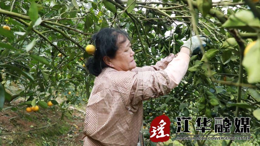 村民.png