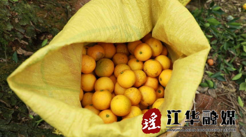 微信截图_20221212090441.png