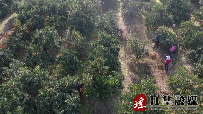 微信截图_20221216145928.png