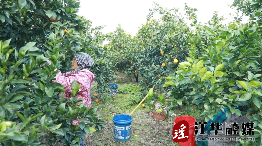 微信截图_20221216145344.png