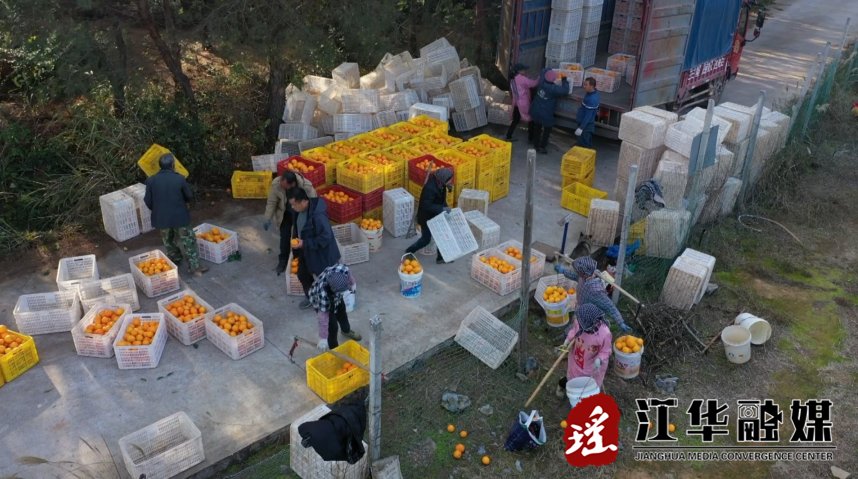 微信截图_20221216145317.png