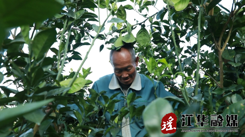毛.png