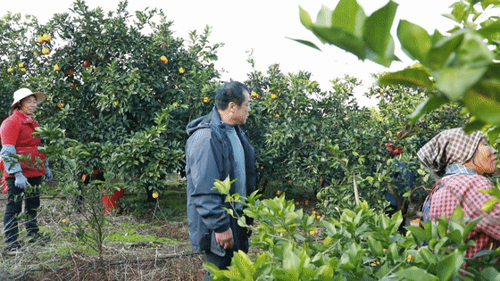 江华“花甲”采果队[00-00-04--00-00-07].gif