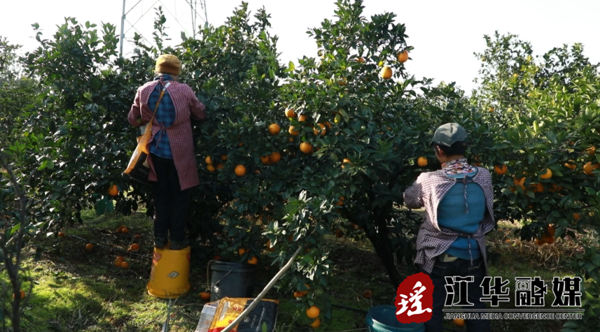 微信截图_20221216145657.png
