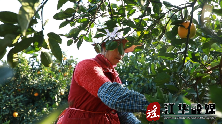 微信截图_20221216145430.png
