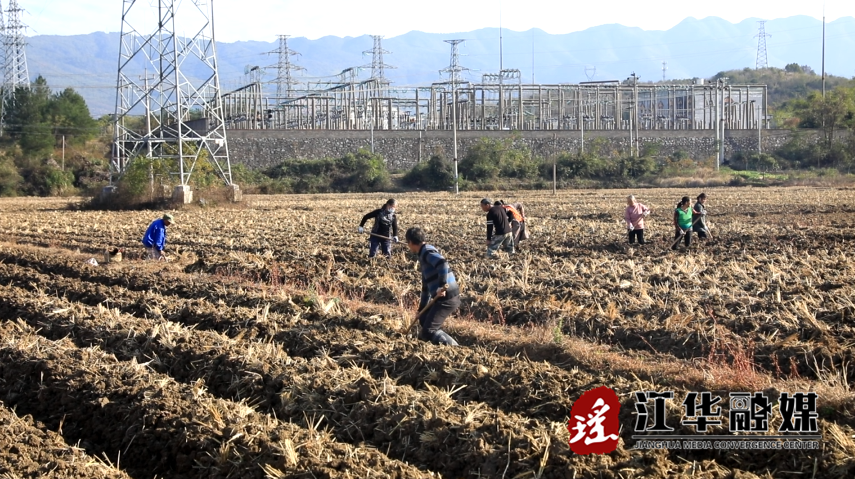 微信截图_20221220100131.png