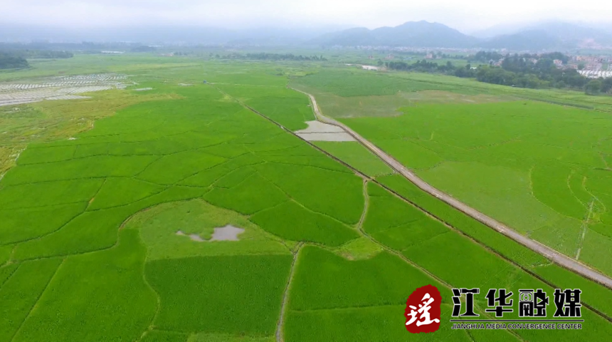 微信截图_20221222091645.png