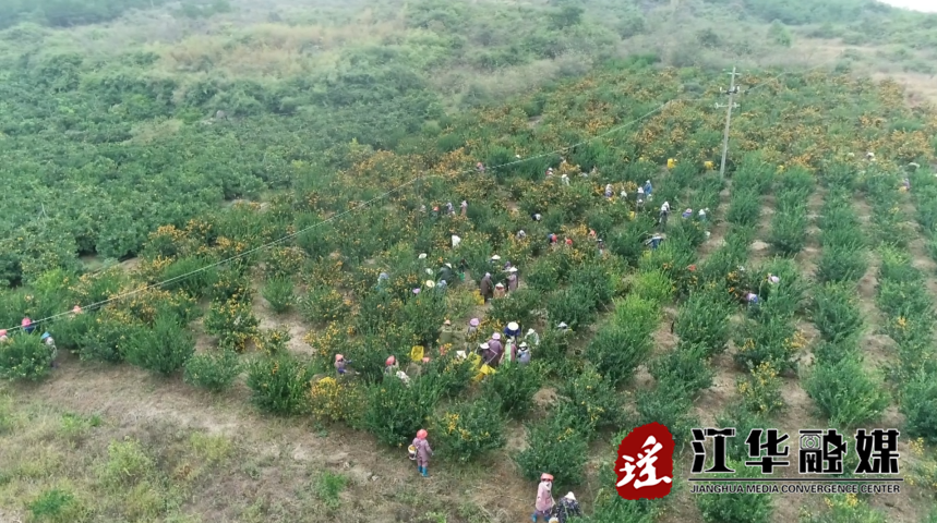 微信截图_20221206094545.png