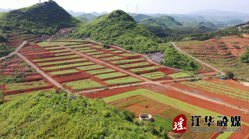 江华：示范带动 推广大豆玉米带状复合种植1.6万亩