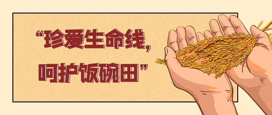 粮食.png