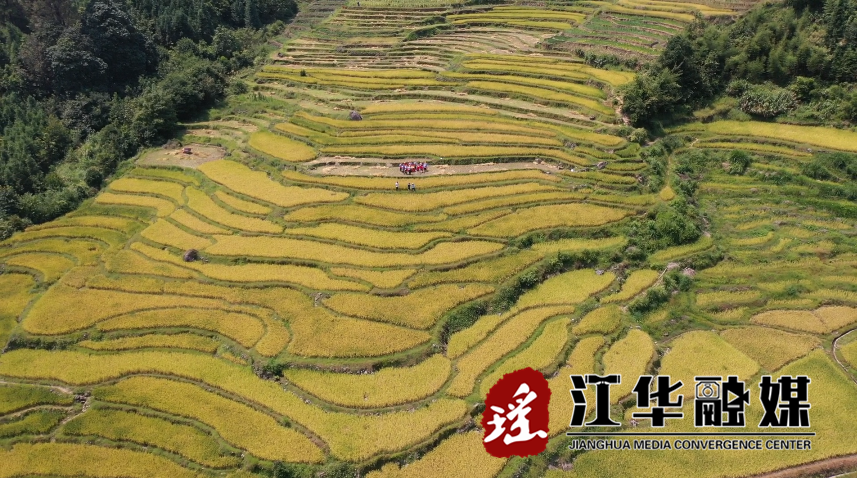 微信截圖_20220915103650.png