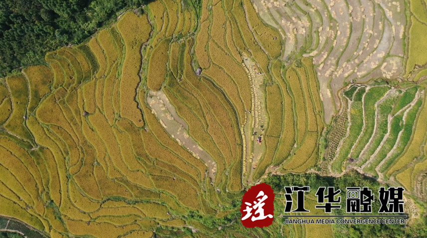 微信截圖_20220915103809.png