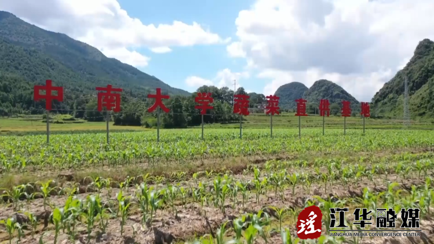 微信截图_20230213104638.png