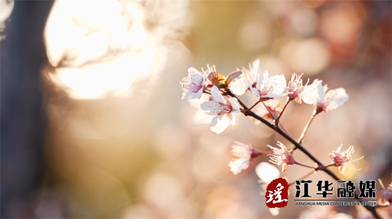 微信截圖_20230313094800.png