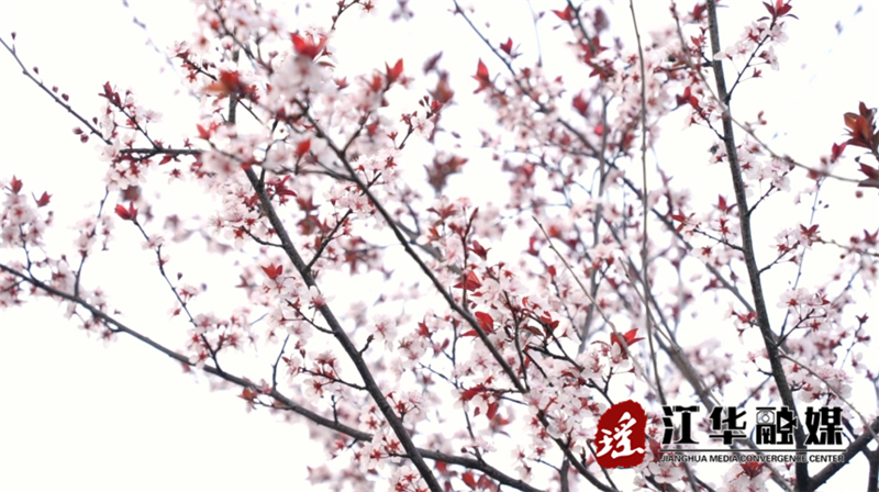 微信截圖_20230313094814.png