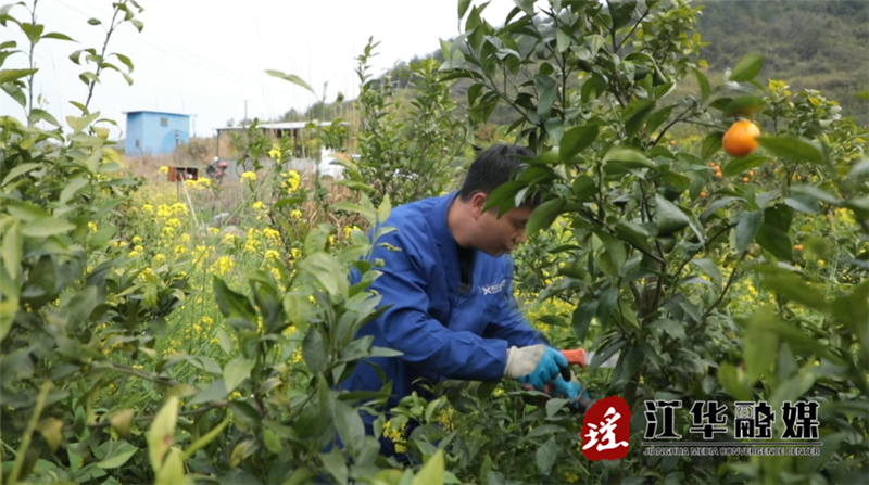 微信截图_20230314093325.png