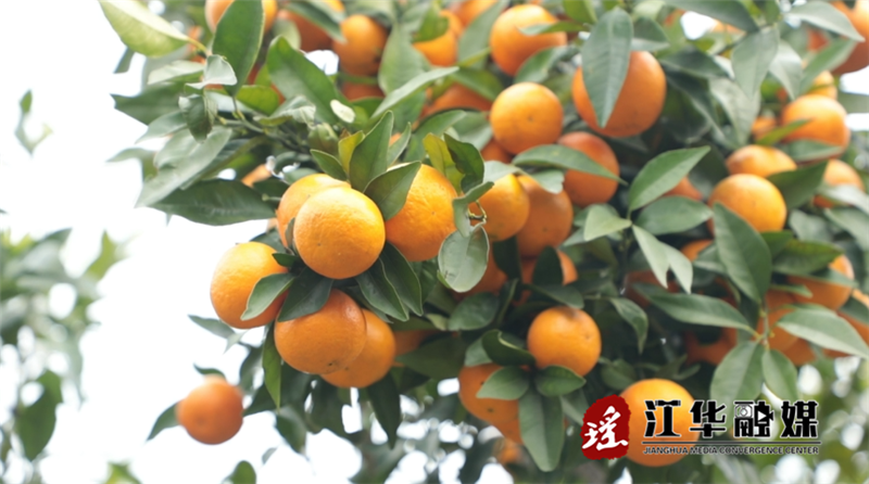 微信截图_20230314093505.png
