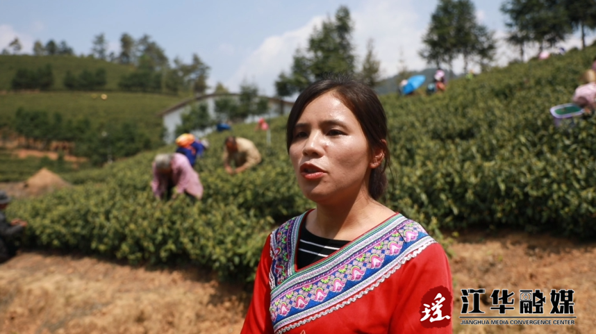 微信截圖_20230323092008.png
