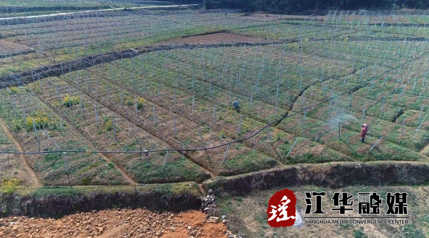 微信截图_20230307090716.png