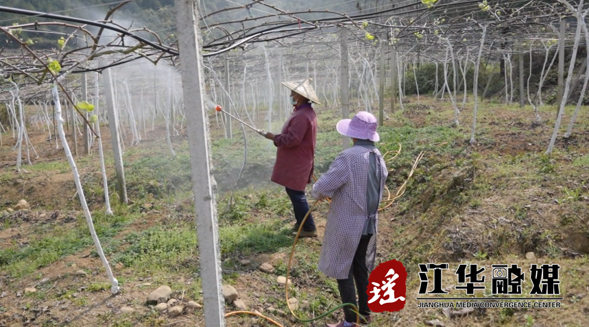 微信截图_20230307090729.png