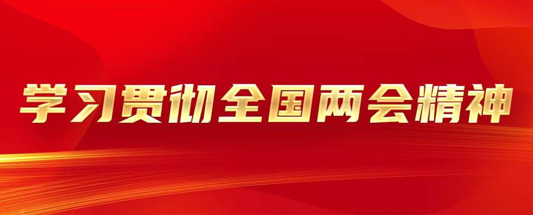 学习贯彻全国两会精神