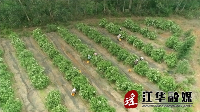 DJI_0120[00_00_12][20230501-095229].png