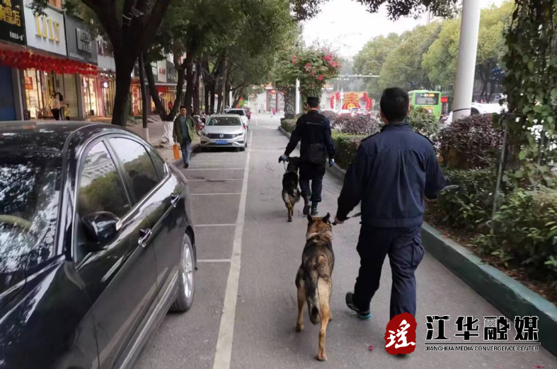 【平安建设】警犬上线，为江华公安街面巡防助力！