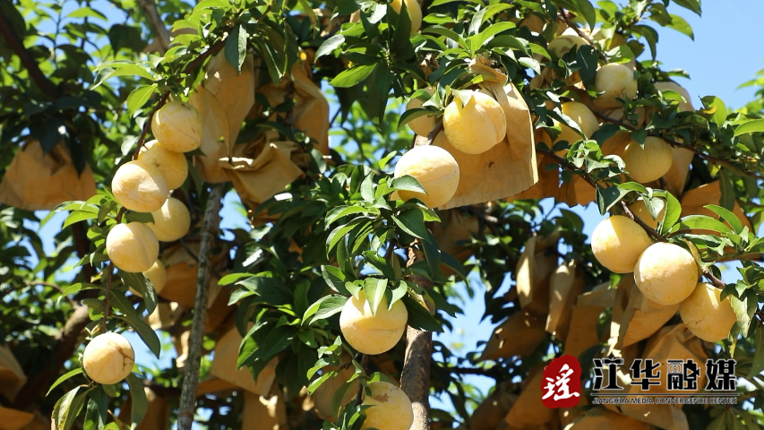 微信截图_20230725093735.png