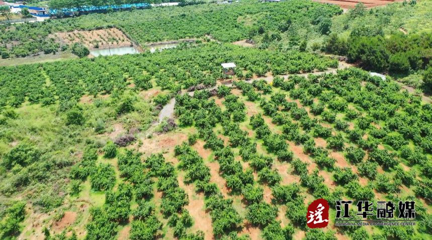 微信截图_20230725093622.png