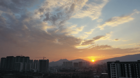 动图.gif