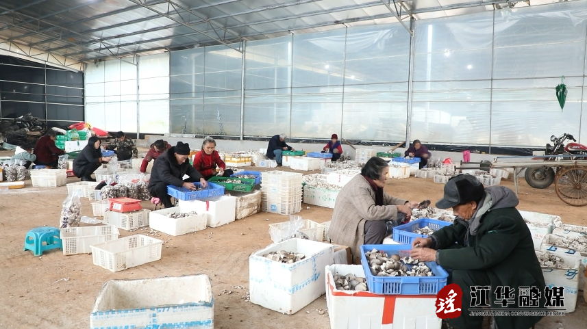微信截图_20240108145835.png