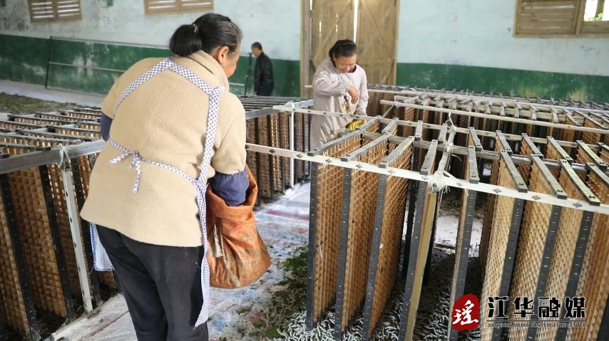 微信截图_20241111153342.png