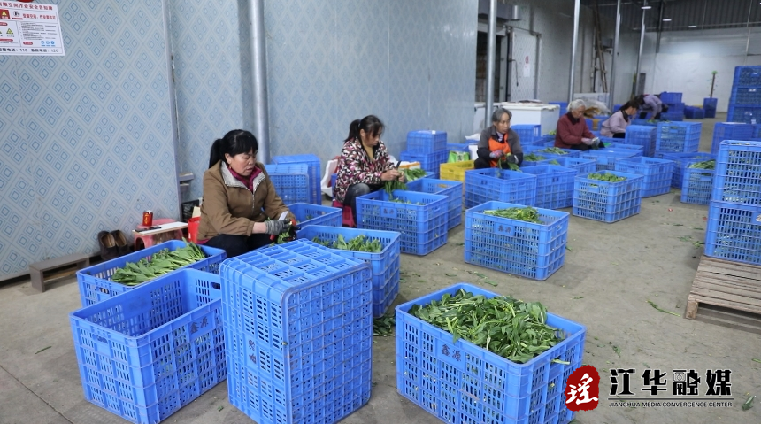 微信截图_20240223102932.png