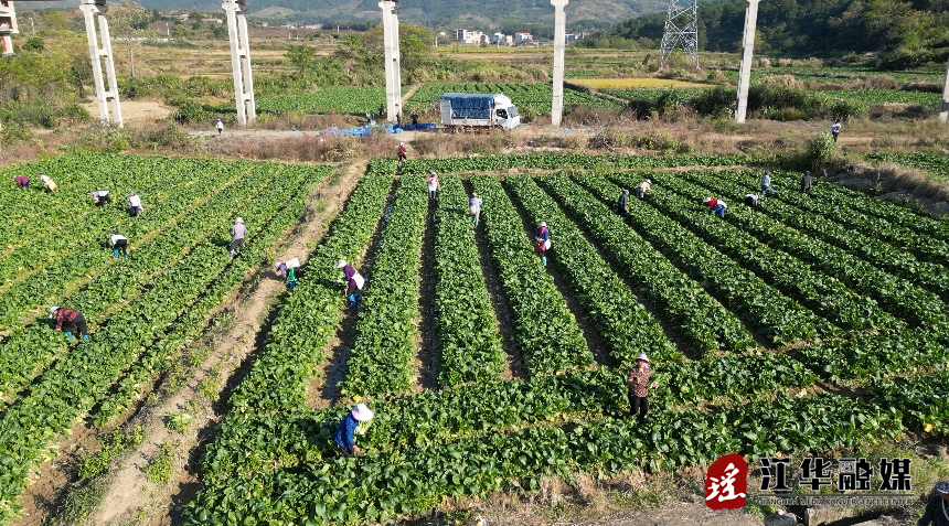 微信截图_20240223102806.png