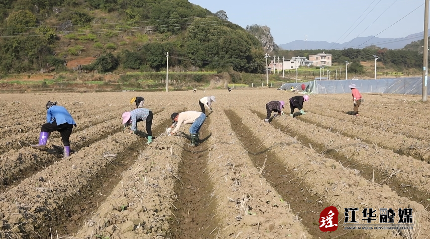 微信截图_20240313090832.png
