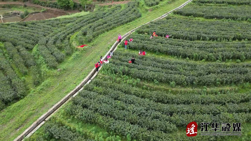 微信截图_20240412114720.png 微信截图_20240412114720.png