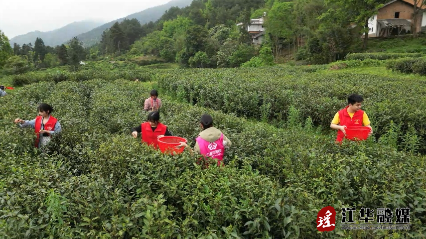 微信截图_20240412114730.png 微信截图_20240412114730.png