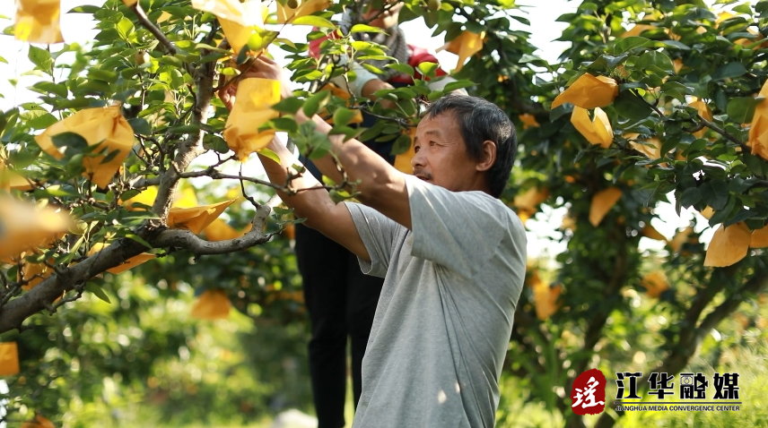 微信截图_20240527093435.png