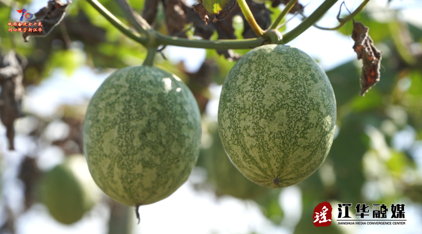 wechat_2025-10-11_094303_209.png