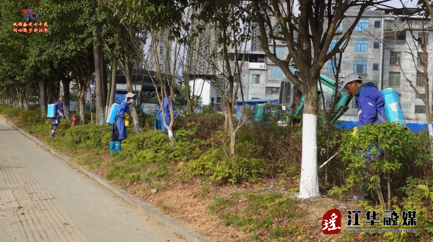 江华：树木刷白 御寒过冬