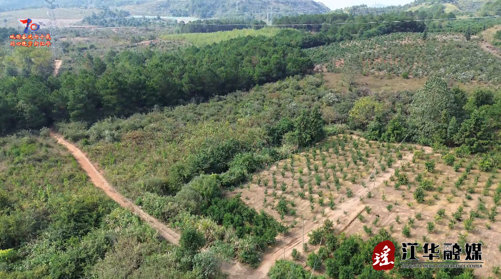 ScreenShot_2025-11-17_103619_727.png ScreenShot_2025-11-17_103619_727.png