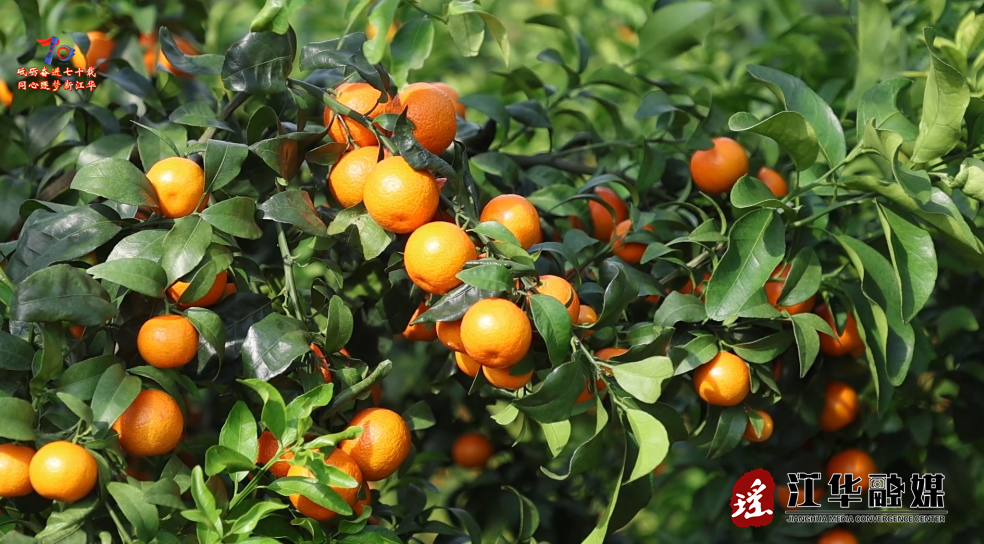 ScreenShot_2025-11-17_103701_830.png ScreenShot_2025-11-17_103701_830.png