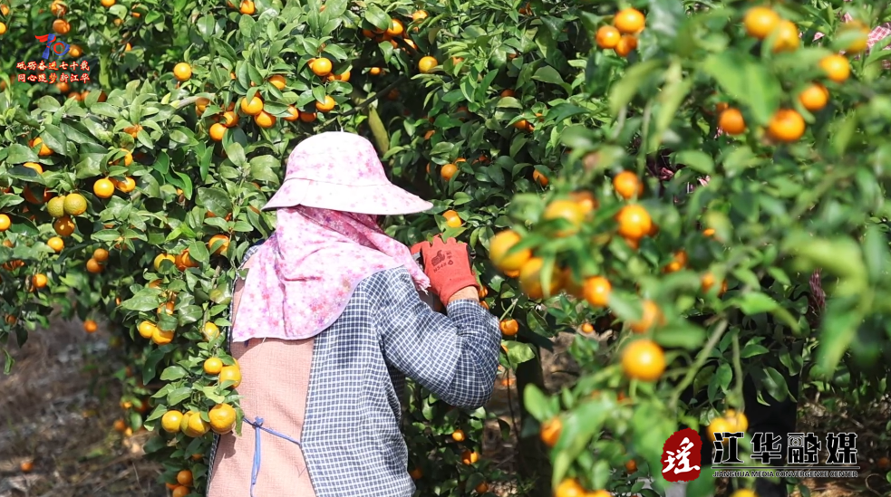 ScreenShot_2025-11-17_103643_534.png ScreenShot_2025-11-17_103643_534.png