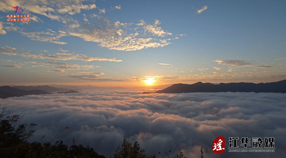 ScreenShot_2025-11-18_102516_681.png ScreenShot_2025-11-18_102516_681.png