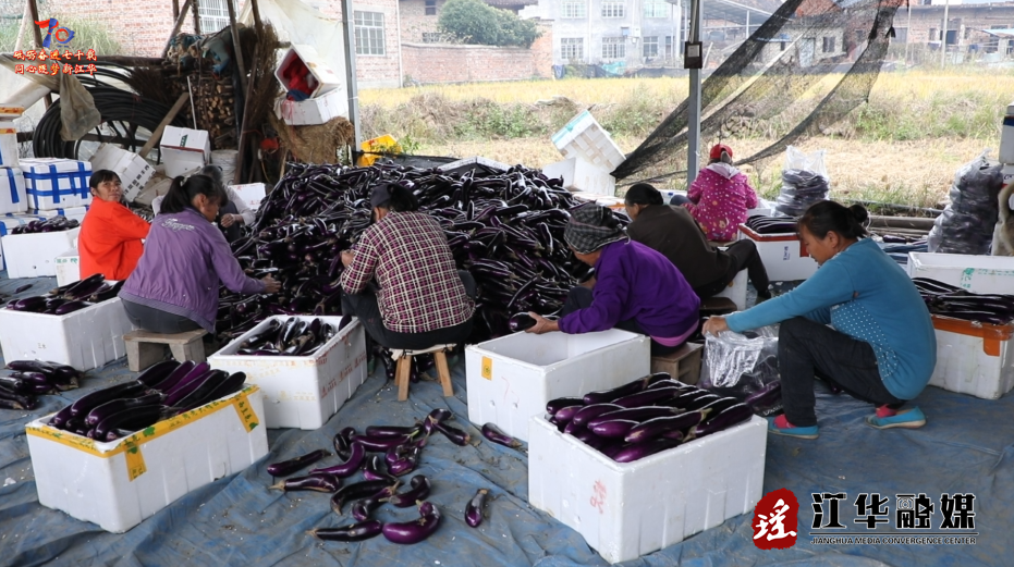 ScreenShot_2025-11-19_102036_546.png ScreenShot_2025-11-19_102036_546.png