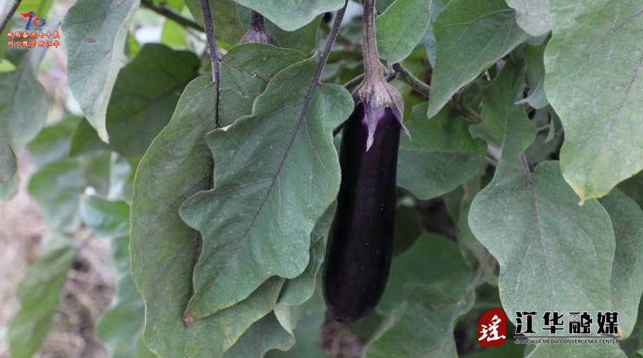 ScreenShot_2025-11-19_102216_737.png ScreenShot_2025-11-19_102216_737.png