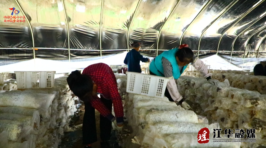 ScreenShot_2025-11-21_102235_920.png ScreenShot_2025-11-21_102235_920.png