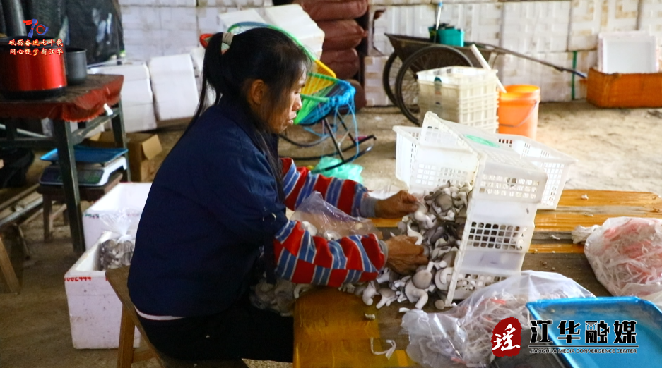 ScreenShot_2025-11-21_102311_041.png ScreenShot_2025-11-21_102311_041.png